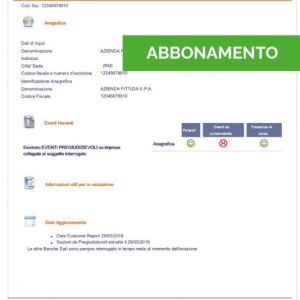 ABBONAMENTO CON REPORT AZIENDA